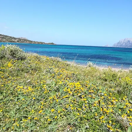 Pensionat Al Lungomare *