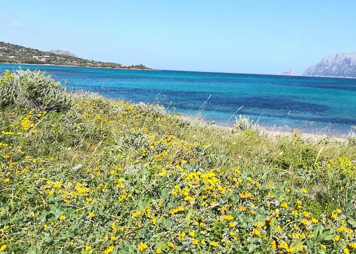 Guest house Al Lungomare 3*